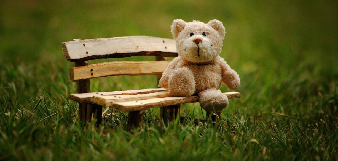 Bear-With-Us-Hero a cute teddy bear sitting on a bench
